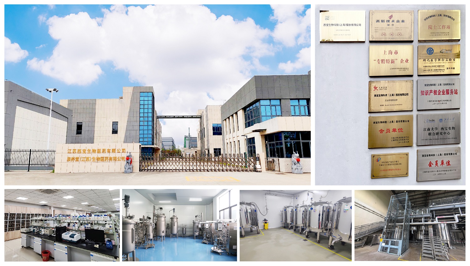 西寶生物研發(fā)中心和生產(chǎn)基地