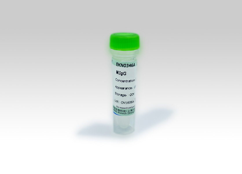 Seebio? 小鼠IgG