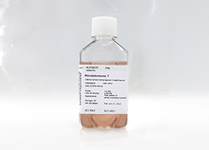 SeeVero 01基礎(chǔ)培養(yǎng)基(液體) SeeVero 01基礎(chǔ)培養(yǎng)基(液體)