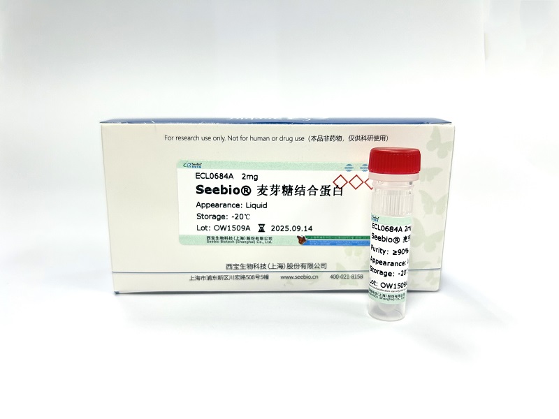 Seebio??麥芽糖結合蛋白（MBP）