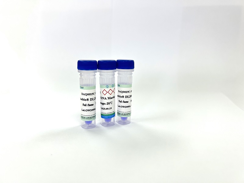 Seebio? DL2000 DNA Marker Seebio? DL2000 DNA Marker