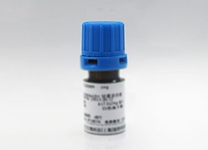 肉堿乙酰轉(zhuǎn)移酶