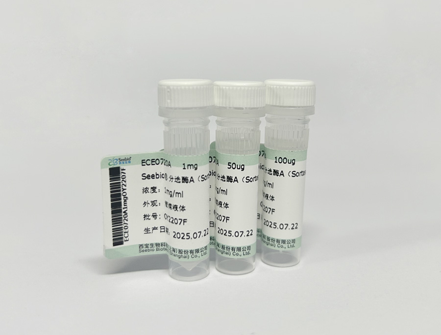 Seebio? 分選酶A（Sortase A）