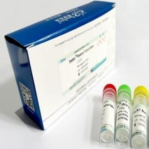 Seebio? sTaq DNA Polymerase (不含dNTP，free Mg2+  Buffer)